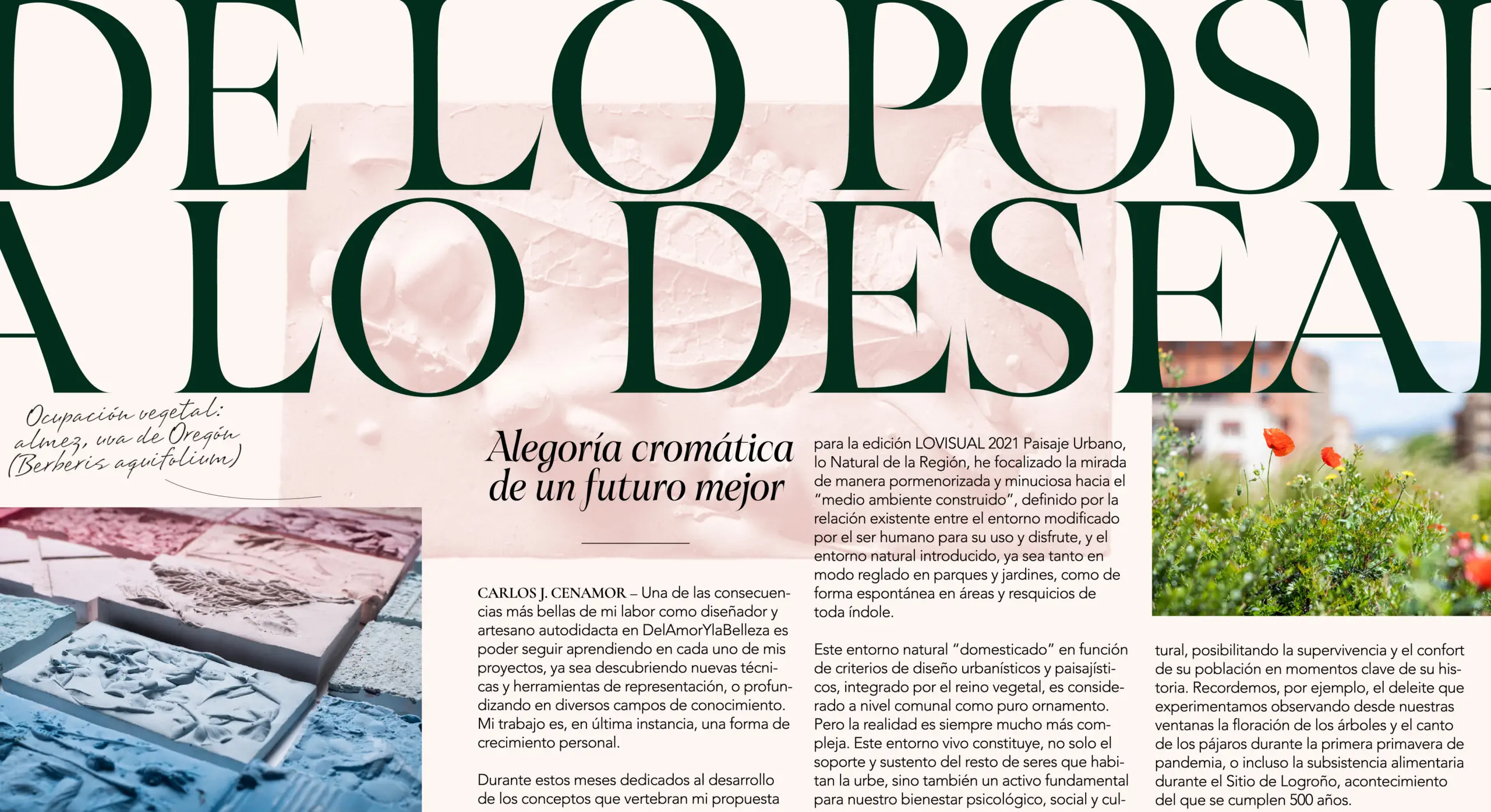 Detalle tipográfico identidad visual Lovisual — Casao-Terrazas