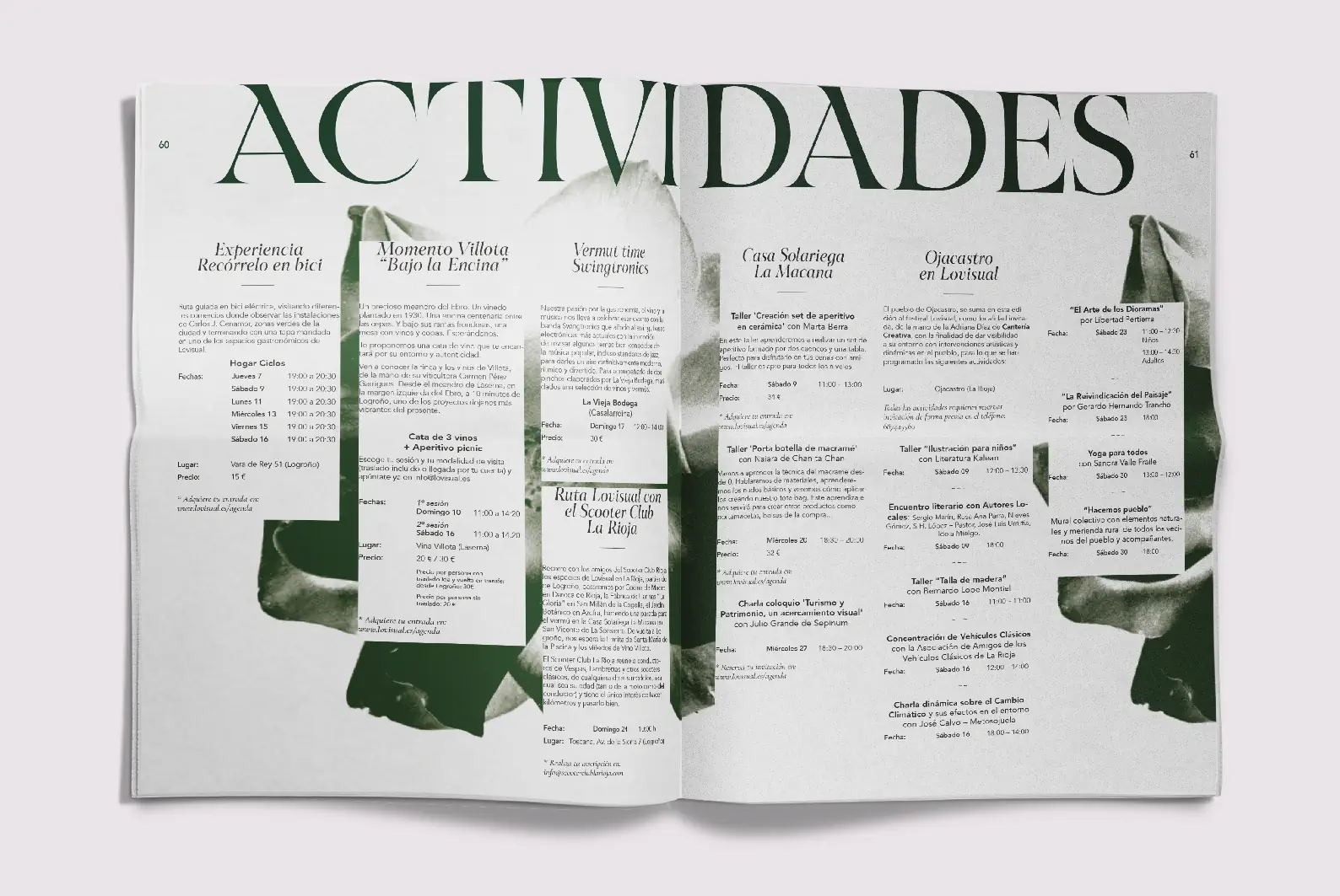 Detalle tipográfico identidad visual Lovisual — Casao-Terrazas